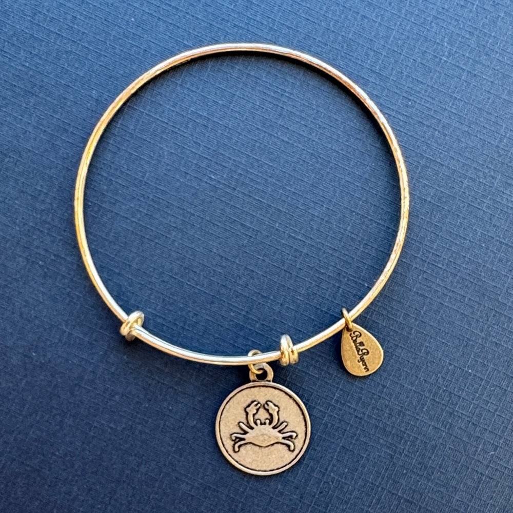 Bella Ryann Silver Zodiac Charm Bracelet
